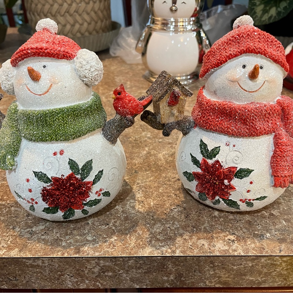 Pair of Snow Couple with Cardinals and birdhouses and beautiful Pointsettias